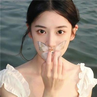 最后的飞行